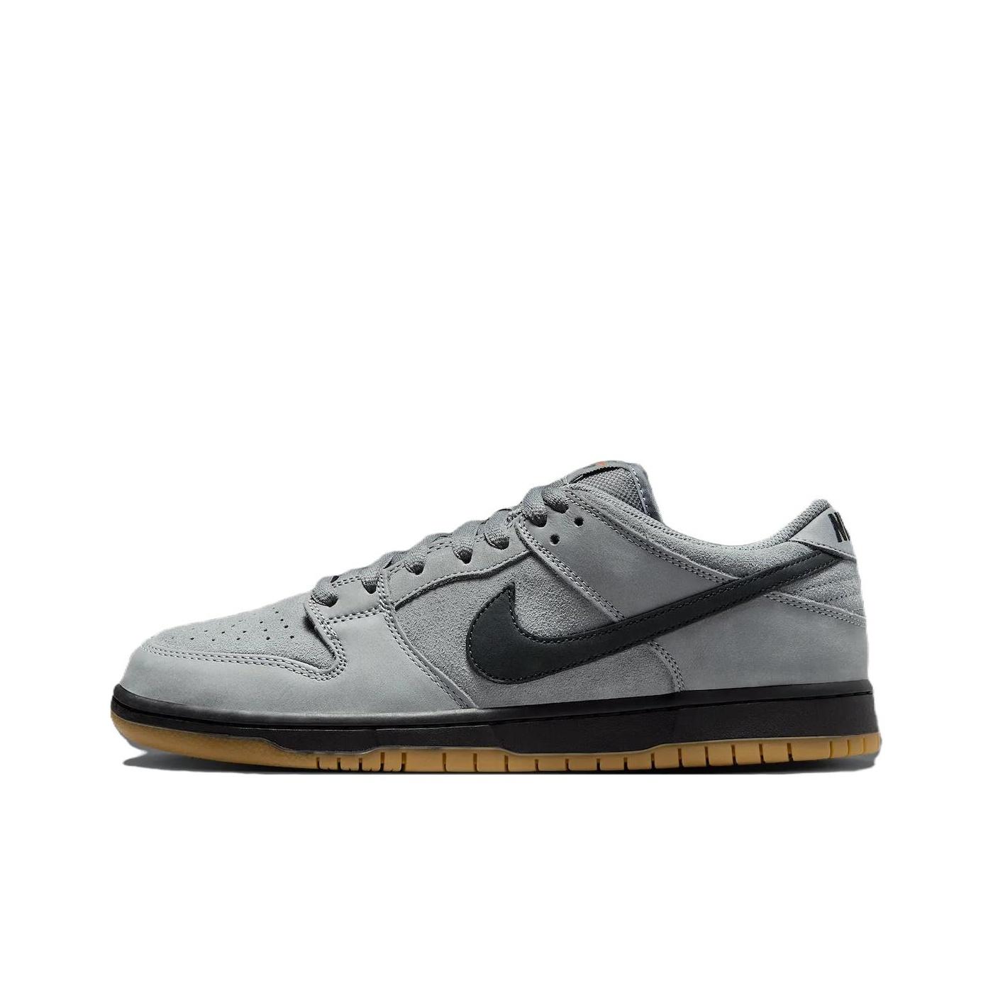 Nike Dunk Low Pro SB Cool