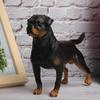Brullende Rottweiler Hond Model Speelgoed Actiefiguren Verzamelaar Decor Kind Educatief Dier Honden Speelgoed Decoratie Kind Verjaardagscadeau