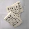 Educational Bingo Game Cards Reusable Bingo Toys Set Bingo Chess Toy  Family Party Game