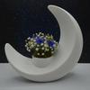 Creative Modern Moon-Shaped Flower Pots Decorative Plastic 3D Printed Moon Vases Minimalist Decorative Flower Vase Living Room
