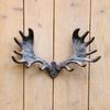 European & American Rustic Cast Iron Antler Wall Hook Decor for Home and Living Room