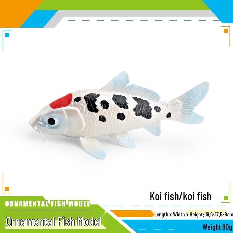 Ornamental Fish Model: Red-crowned Crane & Skygazer Dragon with Water-bubble Eye Shubunkin Goldfish Koi