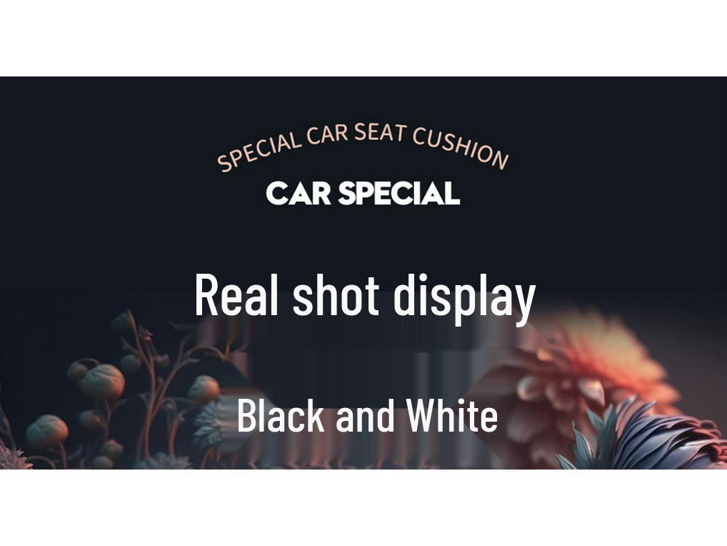 BYD Seagull Custom Leather Car Seat Cover - All-Season Full Protection