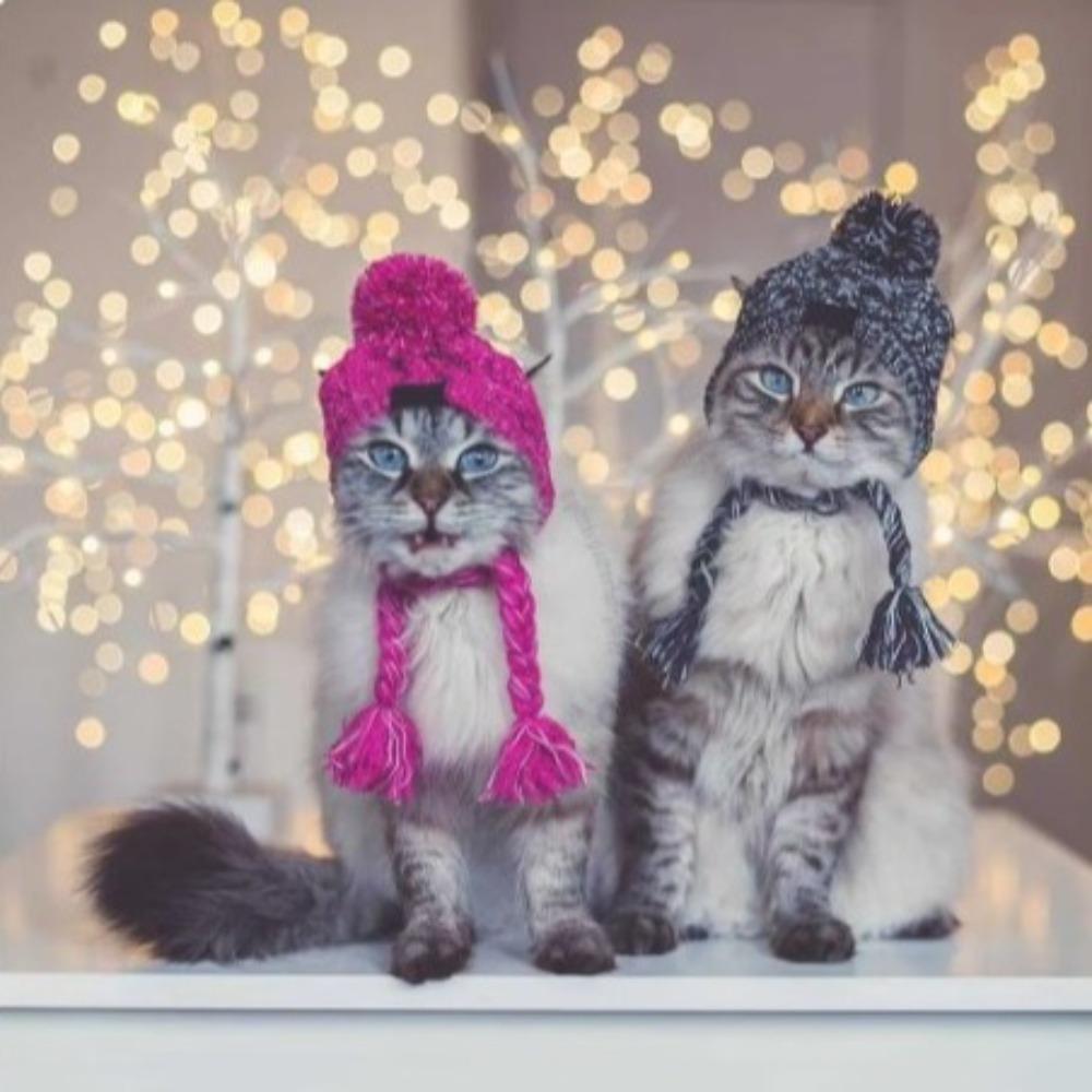 Windproof Winter Pet Caps Fluffy Ball Cat Hat Headwear Dog Knitted Hats  Puppy