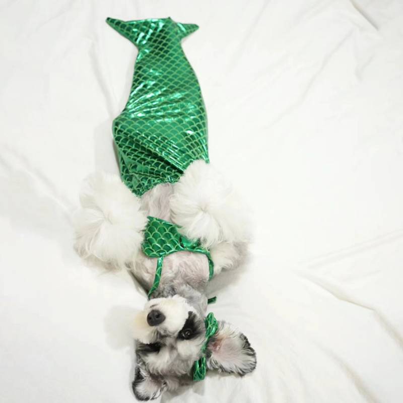 Dog Costume Pet Mermaid Bra Tail Bikini Clothing Bowknot Dressing Up Swimwear