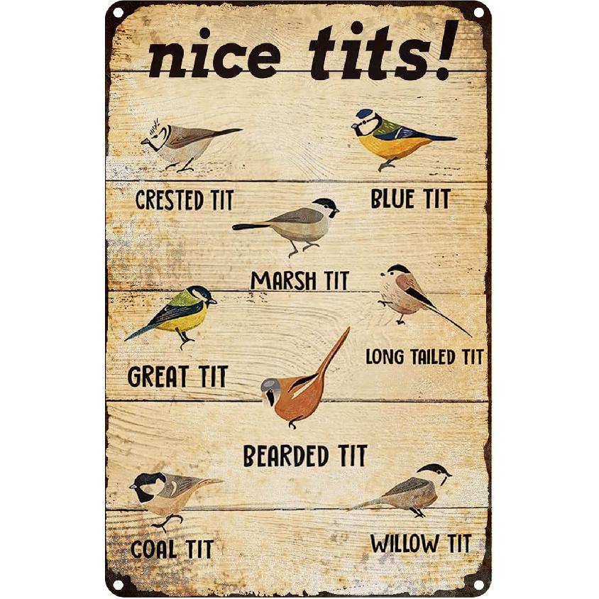 

Деревенская Милые Сиськи Металлическая Жестяная Табличка Настенный Декор Деревенская Табличка с Птицей Забавная Металлическая Жестяная Табличка Жестяная Табличка Винтажный Декор Стен Пещеры Бара Патио Новинка Для Дома