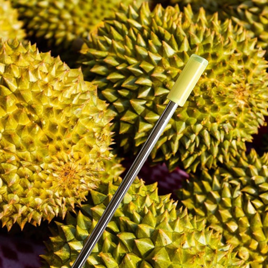 Durian Freshness Tester, Handy Device for Evaluating Fruits