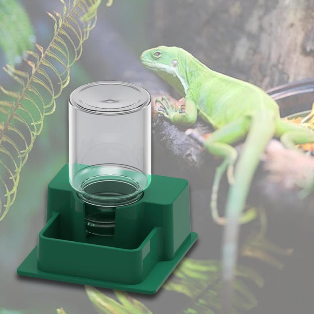 Automatic Reptile Water Dispenser Tortoise Waterer Habitat Decor Save Space Reptile Watering Bowl for Hamster Chameleon Gecko