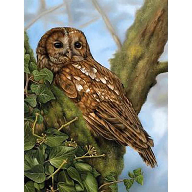 

5D DIY Алмазная картина Орел Ремесленный комплект Полная круглая дрель Алмазная вышивка Животные Фотографии Стразы Ручная работа Художественный подарок Full Round 20x30CM