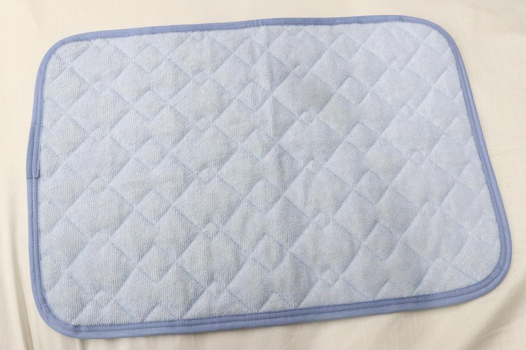 Romance Kosugi 100% Pile Cotton Pillow Pad, Blue