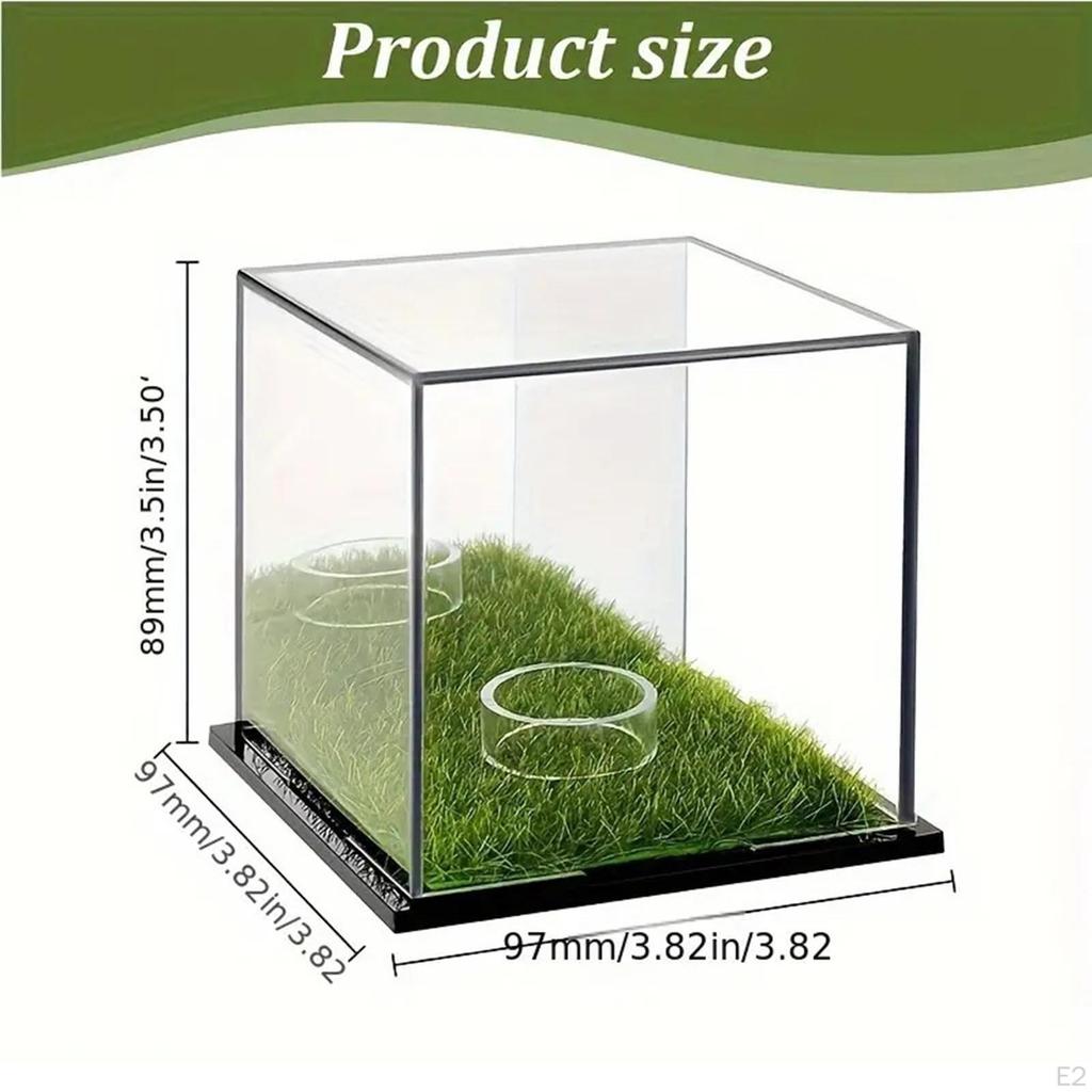 Golf Ball Display Case Transparent Storage Box Multifunction Balls Collection Accessories with Base