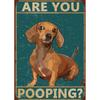 Animals Cat Dog Are You Pooping Funny Bathroom Sign Poster Print Canvas Painting Wall Art Picture for Toilet Home Bathroom Decor