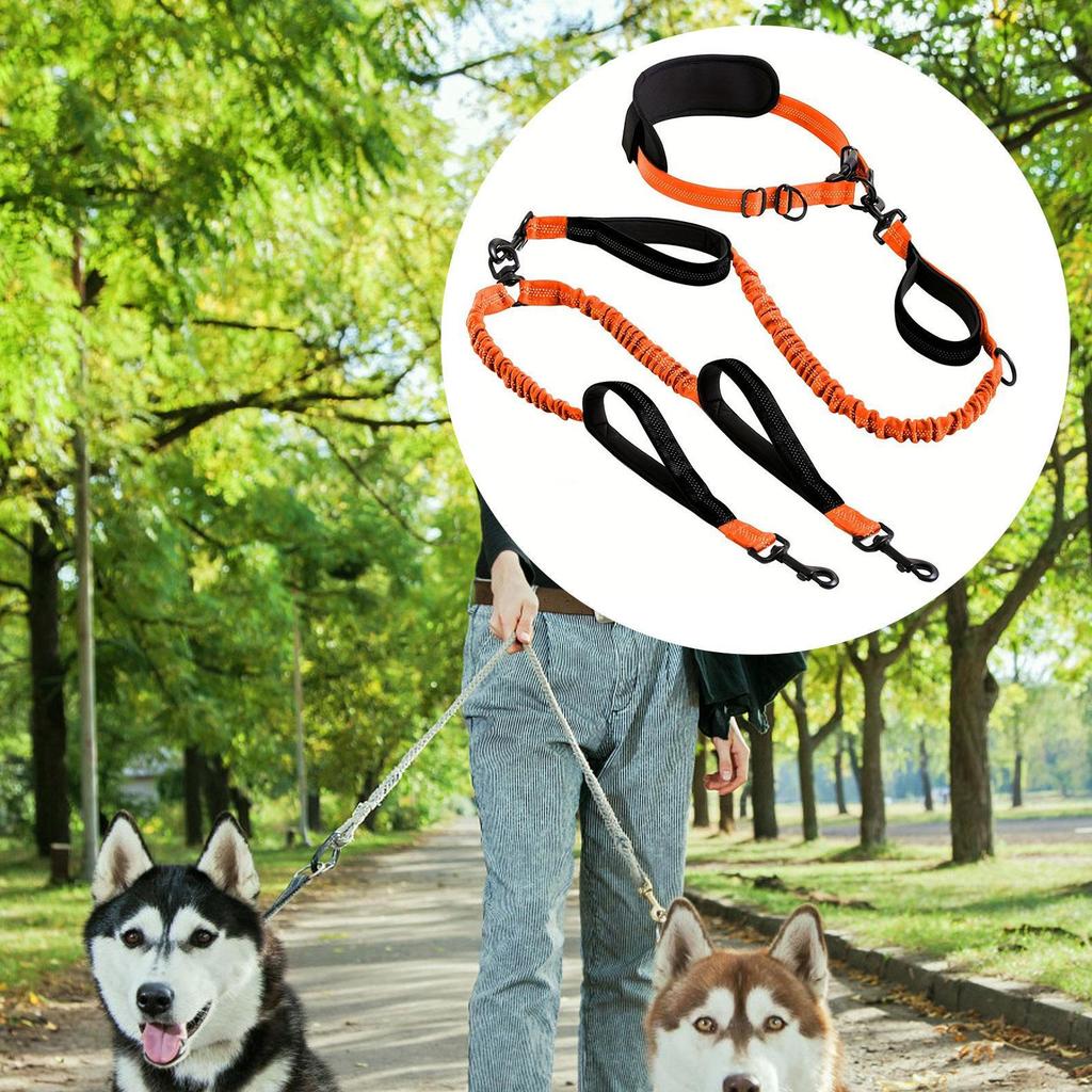 Double Dog Leash Retractable Hands Free No Pull Reflective Bungees for Canicross