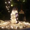 Outdoor Led Christmas Decoration Light Three Penguins Garden Yard Ornament New