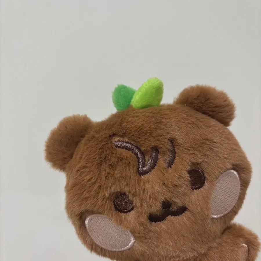 Ateez Jongho Zongbear Flapper