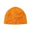 Arc Teryx Unisex Bird Head Torque X000006756 Blaze Copper Sky