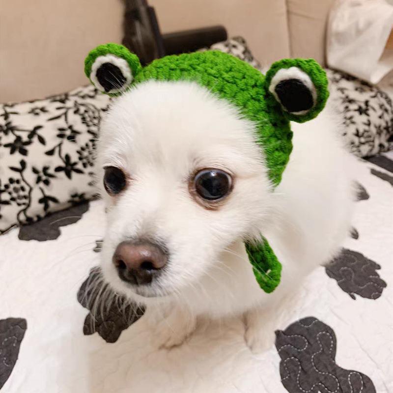 Chapeau pour animal de compagnie tricoté à la main - Chat, Chien, Design Grenouille