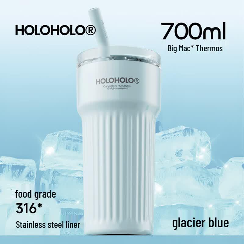HOLOHOLO Insulated Stainless Steel Water Bottle with Straw