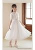 Girls' Korean Style Short Sleeve Chiffon Princess Dress