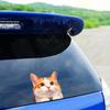 Cat Car Window Decals Funny 3D Waterproof Decals,Orange Cat Stickers,PVC Realistic Automotive Sticker, for Refrigerator,Toilet, Wall.Bathroom,1pcs