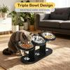 Anti-Slip Elevated 3-Bowl Pet Feeder Set, Raised Cat and Small Dog Food Water Bowls with Stand, Neck Strain Relief (Black)
