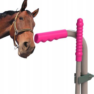 Wall Mount for Mistboy Stable Cleaning Kit, Kerbl