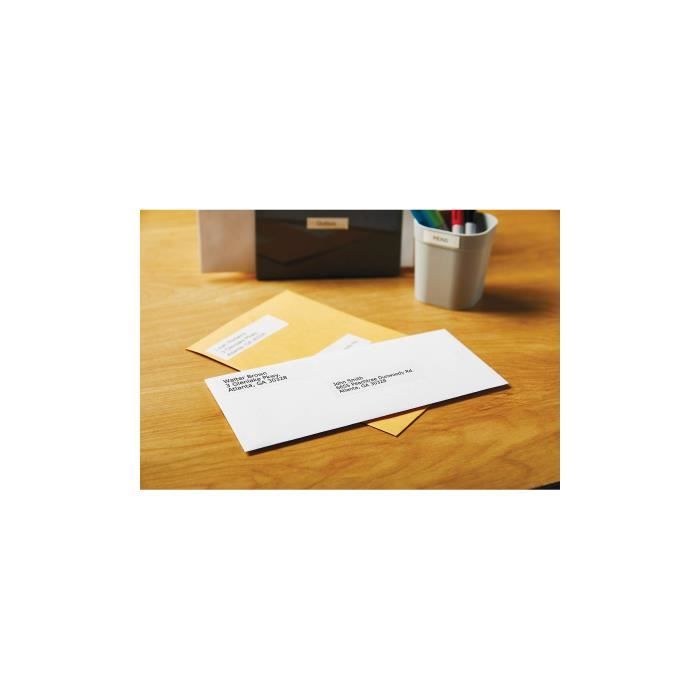 DYMO LabelWriter Boite de 2 rouleaux de 130 étiquettes adresse standard 28mm x 89mm