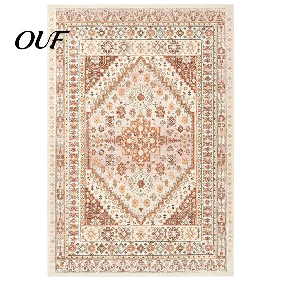Vintage Ethnic Pattern Floor Decor Area Rug, 6 x 4Ft Living Room Soft Washable Low Pile Non Slip Mats for Persian Style Indoor Carpet with Backing