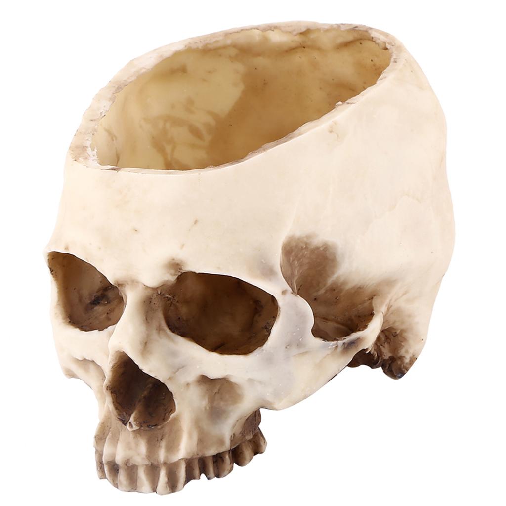 1pc Resin Skull Head Design Flower Pot Planter Container Decoration