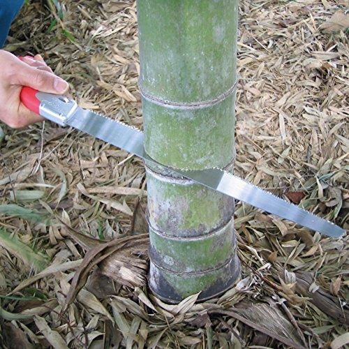 Razorsaw SELECT300 Bamboo Saw 300m Body 172