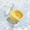 Sealed Orthodontic Retainer Storage Case Plastic Denture Soaking Cleaning Box  Travel