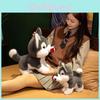 Creative Rose Husky Plush Toys Cute Valentine Days Girls Boys Gifts Holiday