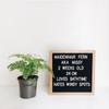 Decorative Wooden Shooting Props Creative Felt Message Board New Years Baby Alphabet Board  Cute