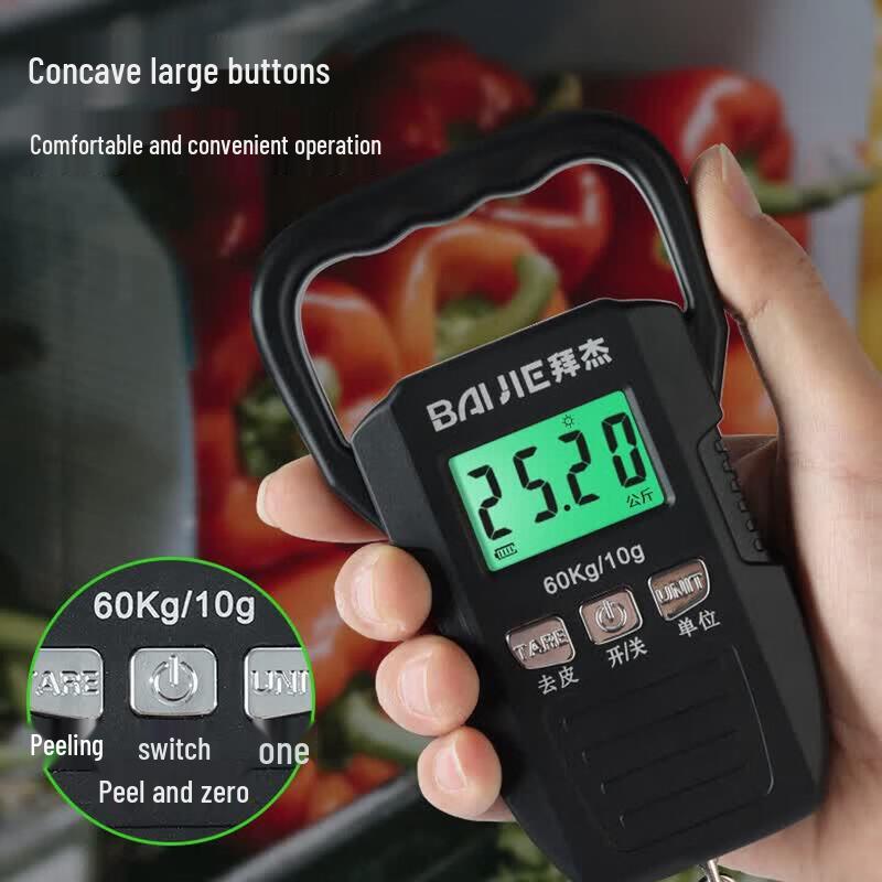 Baijie Portable Hanging Scale 60kg