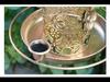 Dual-Purpose Metal Solar Bird Feeder & Decorative Lawn Light