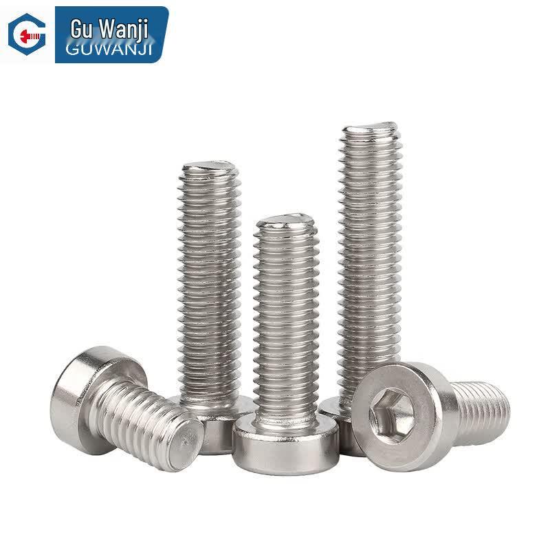 GUWANJI 304 Stainless Steel Low Head Hex Socket Cap Screw