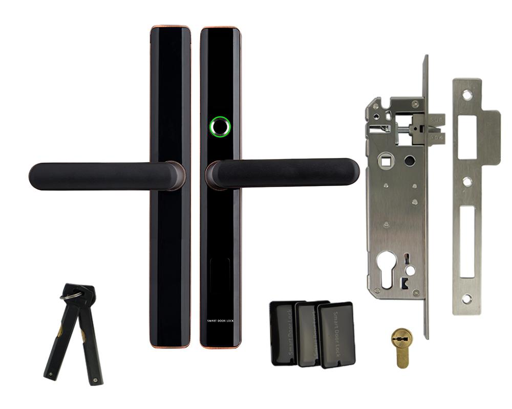 Electronic Door Handle with Fingerprint RFID Password Access Control Dc6V Secureentry-HL100