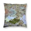 Moss Orange And Blue Lichen Pillowcase Polyester Linen Velvet Creative Zip Decor Pillow Case Car Cushion Case