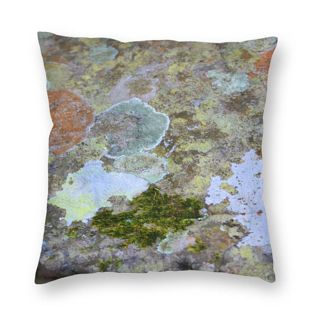 Moss Orange And Blue Lichen Pillowcase Polyester Linen Velvet Creative Zip Decor Pillow Case Car Cushion Case