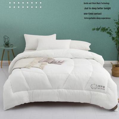 Changsangzhi All-Season Antibacterial Quilt