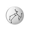 Stainless Steel Zodiac Charms for Jewelry Making Constellation DIY Pendants for Necklace Bracelet Keychain Earring