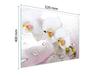 SZKLANA DESKA DO KROJENIA 52x40 ORCHIDEA