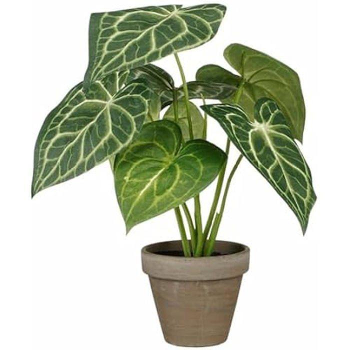 Plante décorative - MICA DECORATIONS - Caladium - Ø 21 cm - Hauteur 28 cm - Artificielle