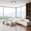 Modern Round Ceiling Light Ø22.5Cm Black LED 18W Variable Color Evora Milagro