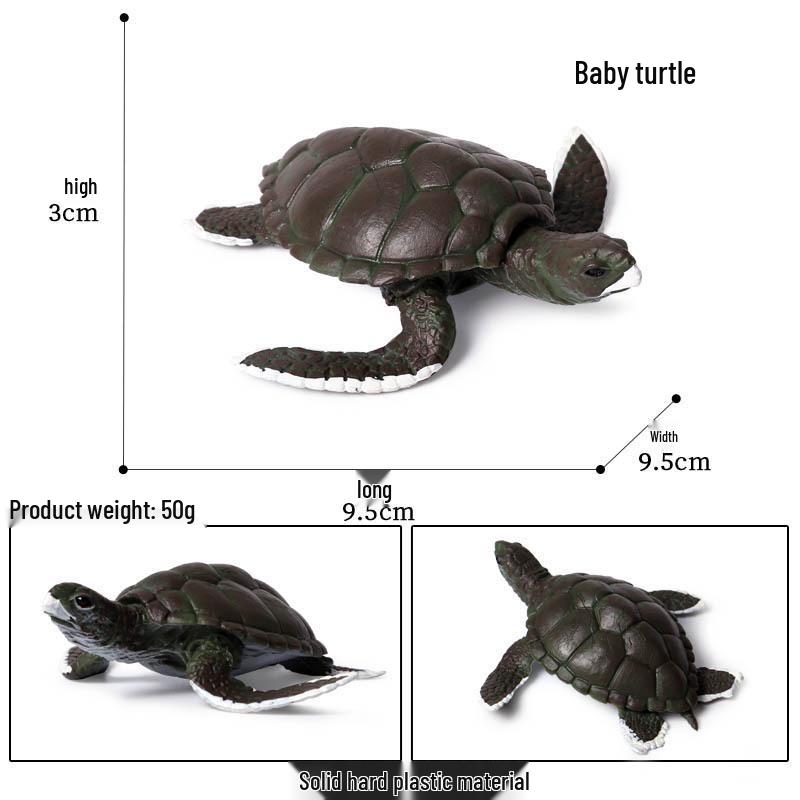 Children's Cognitive Marine Animal Models: Sea Turtle and Tortoise Toys