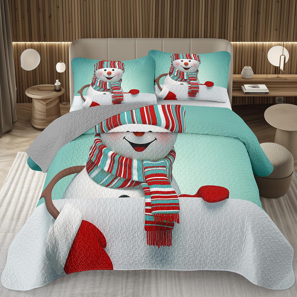 Merry Christmas Coverlet SetLovely Snowman Bedspread Twin Size for Boys Girls Dorm Room Winter Theme Cartoon Style Quilt Set