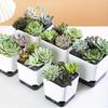 5 Stück Selbstbewässernder Blumentopf, Blumenpflanzgefäße, Moderne Blumentöpfe mit Wasserreservoir, Mini-Blumentöpfe Kräutergarten-Pflanzgefäß