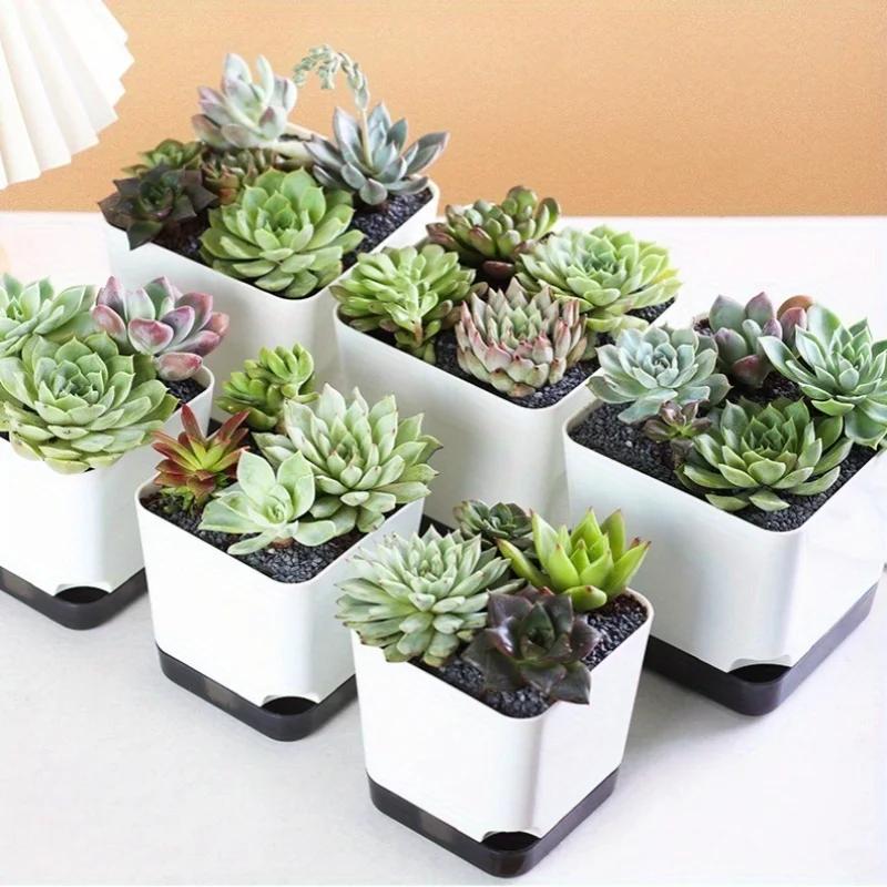 5 Stück Selbstbewässernder Blumentopf, Blumenpflanzgefäße, Moderne Blumentöpfe mit Wasserreservoir, Mini-Blumentöpfe Kräutergarten-Pflanzgefäß