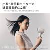 Panasonic Hair Dryer Ionity W Mineral Negative Ion Compact High Airflow Lightweight Quick Dry Modern Gray EH-NE8N-H