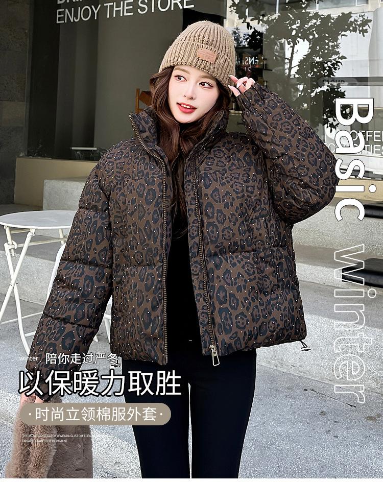 Winter new stand-up collar cotton-padded clothes, leopard print versatile women's loose and thickened women's cotton-padded jackets, short models